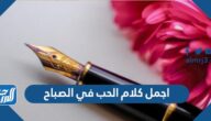 اجمل وافضل كلام الحب في الصباح