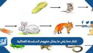اختار مما يلي ما يمثل مفهوم السلسلة الغذائية اختار مما يلي ما يمثل مفهوم السلسلة الغذائية