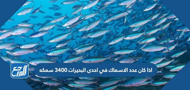 اذا كان عدد الاسماك في احدى البحيرات 3400 سمكه