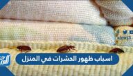 اسباب ظهور الحشرات في المنزل