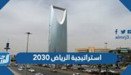 ما هي تفاصيل استراتيجية الرياض 2030