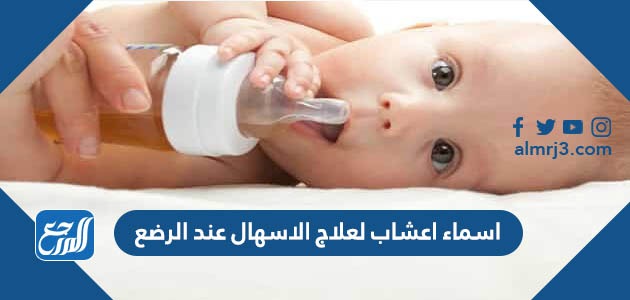 اسماء اعشاب لعلاج الاسهال عند الرضع