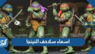 اسماء شخصيات سلاحف النينجا بالصور