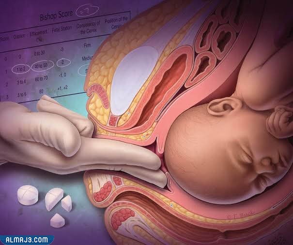كيف أعرف عنق الرحم مفتوح أم مغلق
