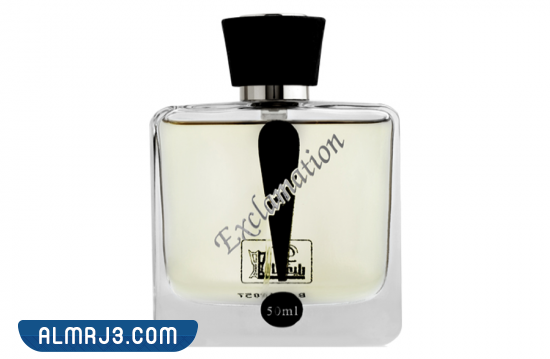 اكسلاميشن فضي