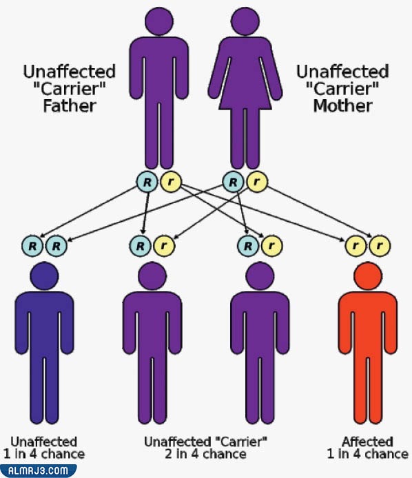 الأمراض المُعدية