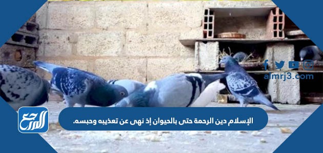 الإسلام دين الرحمة حتى بالحيوان إذ نهى عن تعذيبه وحبسه.