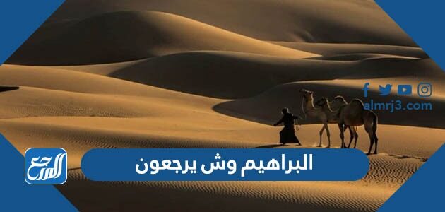 البراهيم وش يرجعون