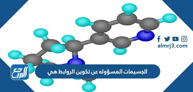 الجسيمات المسؤوله عن تكوين الروابط هي