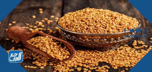 الحلبة والحمل