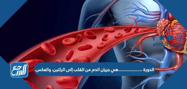 الدورة ...................هي جريان الدم من القلب إلى الرئتين، والعكس.