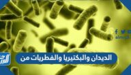 الديدان والبكتيريا والفطريات من