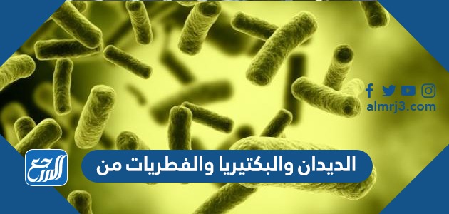 الديدان والبكتيريا والفطريات من