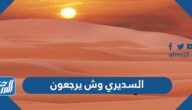 السديري وش يرجعون ، أصل عائلة السديري من وين