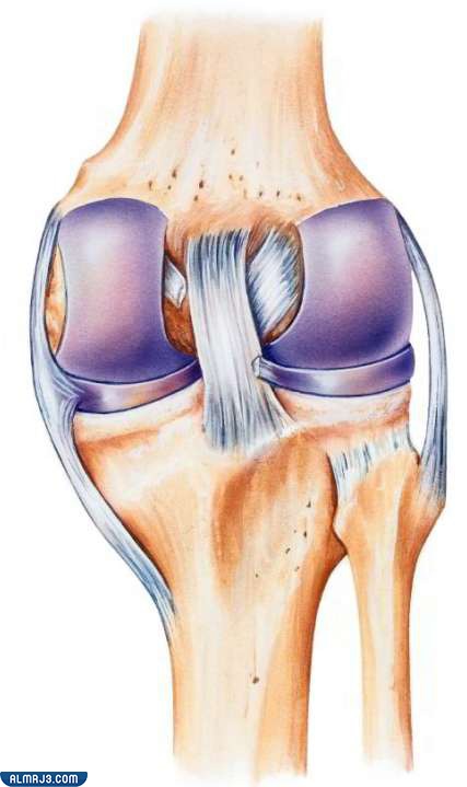 العملية الجراحية التي تعالج تمزق الرباط الصليبي