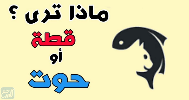 يكون الجسم في مهارة الضربة الساحقة المستقيمة قريب من الأرض لحظة الإرتقاء .