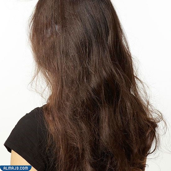 الفرق بين الشعر الجاف والخشن