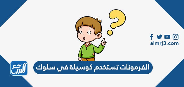 الفرمونات تستخدم كوسيلة في سلوك