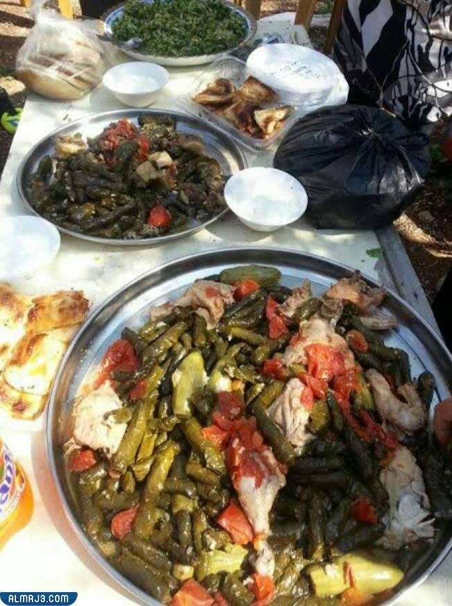  عمل حفل الديش بارتي