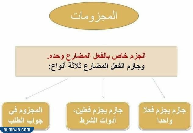 خريطة مفاهيم للمجزومات