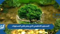 المستوى التنظيمي الذي يضم باقي المستويات