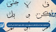 المعطوف هو اسم أو فعل مسبوق بحرف عطف يتبع ما قبله في الاعراب