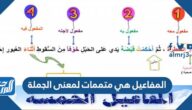 المفاعيل هي متممات لمعنى الجملة