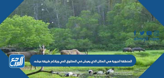 المنطقة الحيوية هي المكان الذي يعيش في المخلوق الحي ويلائم طريقة عيشه.