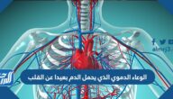 الوعاء الدموي الذي يحمل الدم بعيدا عن القلب