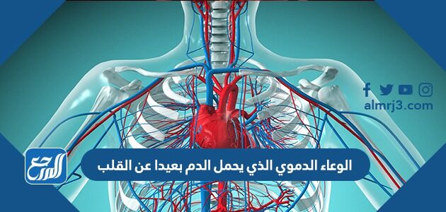 الوعاء الدموي الذي يحمل الدم بعيدا عن القلب