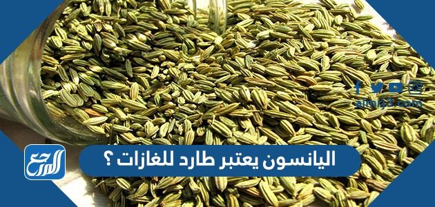 اليانسون يعتبر طارد للغازات ؟