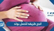 انجح طريقه للحمل بولد مجربة