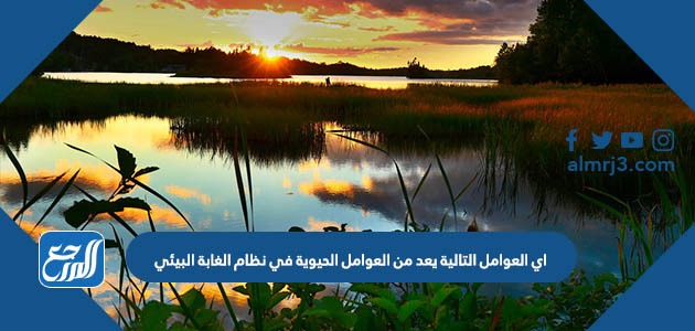 اي العوامل التالية يعد من العوامل الحيوية في نظام الغابة البيئي