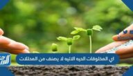اي المخلوقات الحية الاتية لا يصنف من المحللات