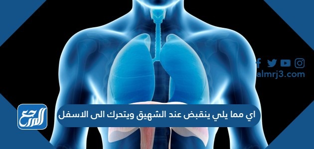 اي مما يلي ينقبض عند الشهيق ويتحرك ال الاسفل