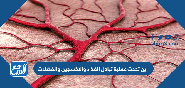 اين تحدث عملية تبادل الغذاء والاكسجين والفضلات