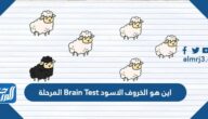 اين هو الخروف الاسود Brain Test المرحلة