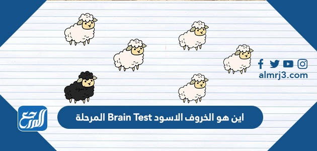 اين هو الخروف الاسود Brain Test المرحلة