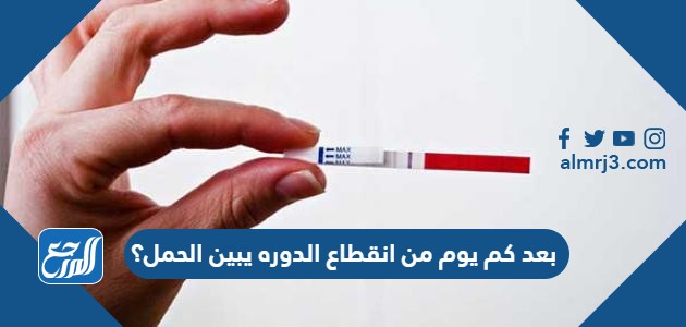 بعد كم يوم من انقطاع الدوره يبين الحمل؟