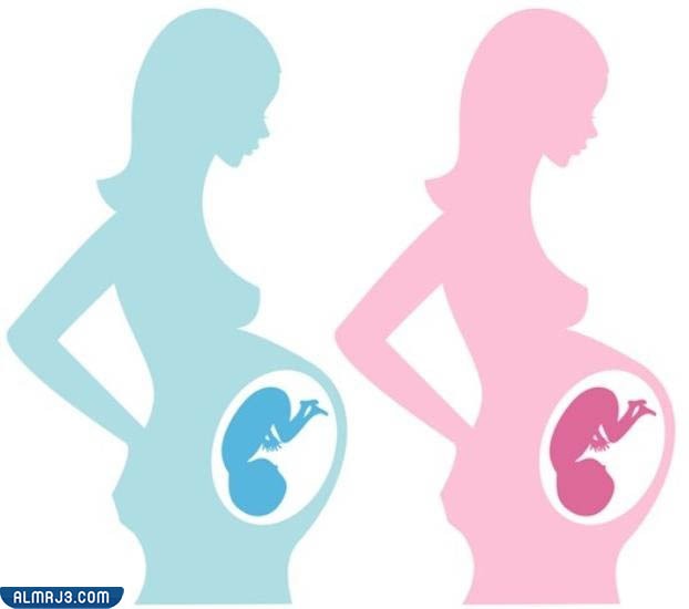تجاربكم في الفرق بين حمل الولد والبنت