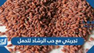 تجربتي مع حب الرشاد للحمل