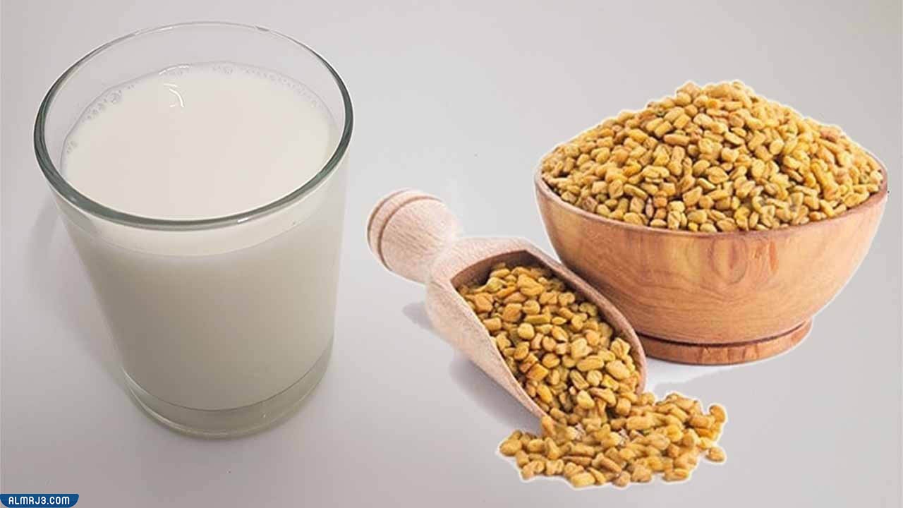 تجربتي مع شرب الحلبة مع الحليب