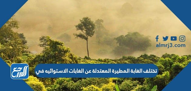 تختلف الغابة المطيرة المعتدلة عن الغابات الاستوائيه في