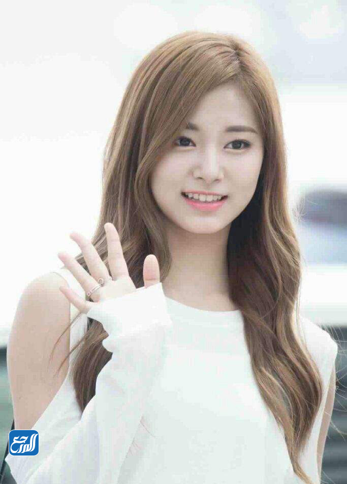 من هم أعضاء فرقة توايس بالصور