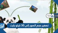 تصغير حجم الصور إلى 30 كيلو بايت