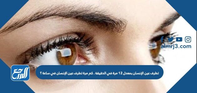 تطرف عين الإنسان بمعدل ١٢ مرة في الدقيقة . كم مرة تطرف عين الإنسان في ساعة ؟