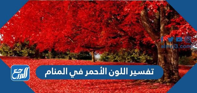 تفسير اللون الأحمر في المنام للعزباء والمتزوجة والحامل