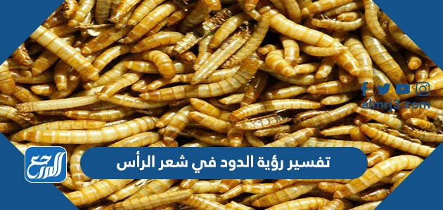 تفسير رؤية الدود في شعر الرأس