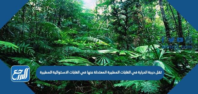 تقل درجة الحرارة في الغابات المطيرة المعتدلة عنها في الغابات الاستوائية المطيرة