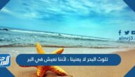 تلوث البحر لا يعنينا ، لأننا نعيش في البر